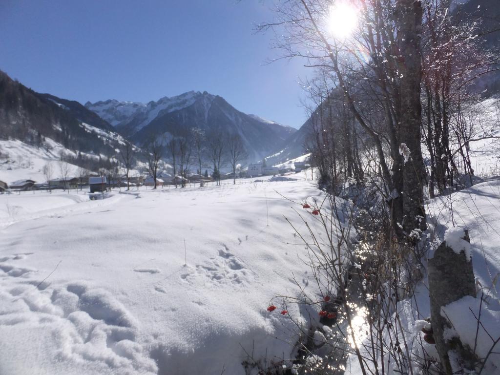 Apart-Pension Oberreiter Fusch an der Grossglocknerstrasse Dış mekan fotoğraf