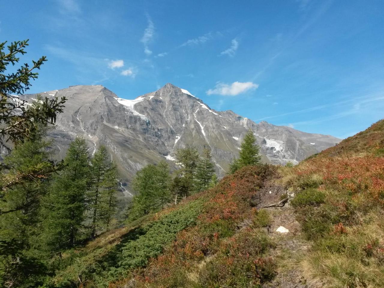 Apart-Pension Oberreiter Fusch an der Grossglocknerstrasse Dış mekan fotoğraf
